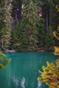 Lake in Harz National Park, Germany Lake in Harz National Park, Germany